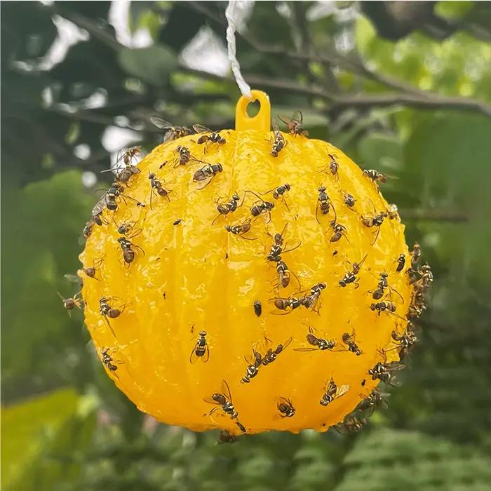 Pièges à mouches à fruits, piège à insectes volants, boule à saveur de fruits, piège collant de cuis