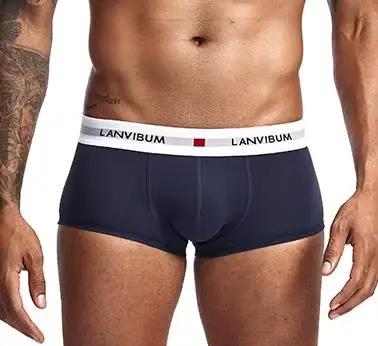LANVIBUM-Sous-vêtements en coton pour homme, pantalon quadranguré, taille basse, solide, document, g