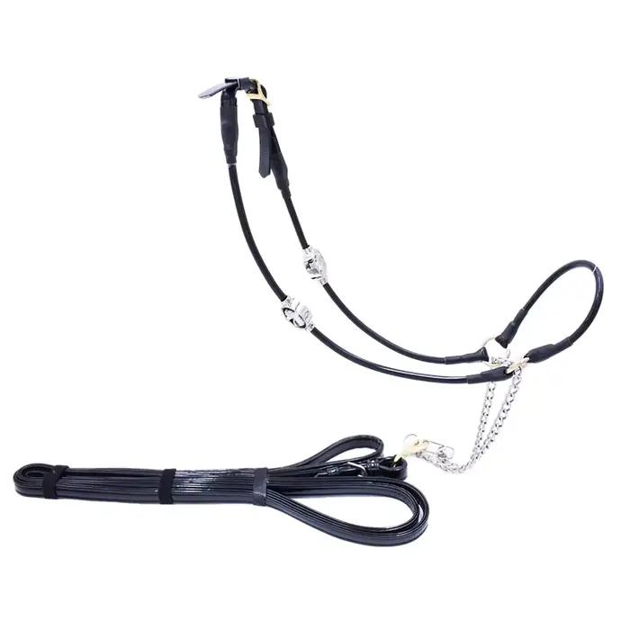Dressage licou pour spectacle de chevaux avec accessoires exquis en acier inoxydable