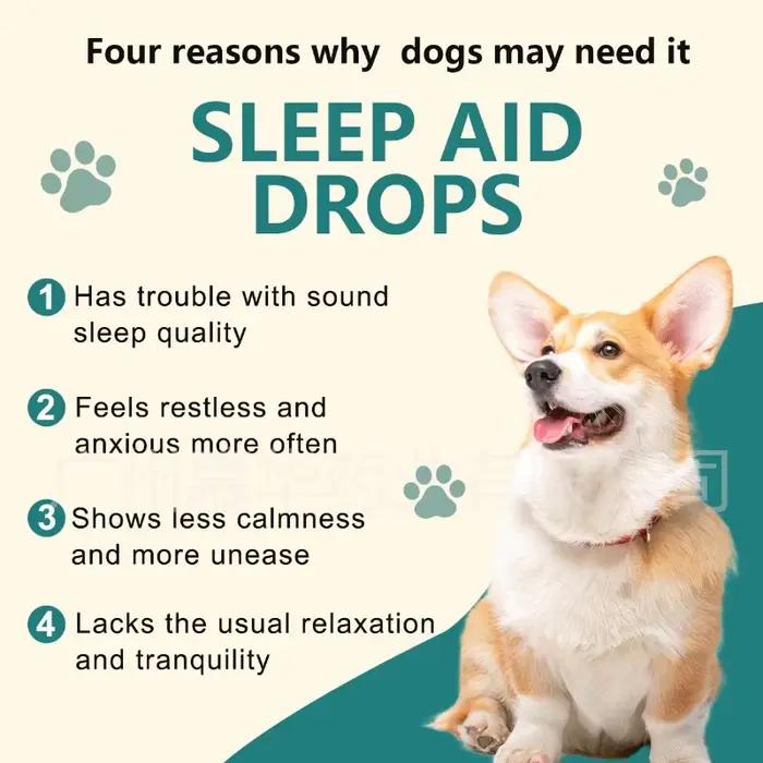 Gouttes de soin Easy Feed pour chiens : Nutrition végétale équilibrée pour améliorer la digestion et l'immunité de tous