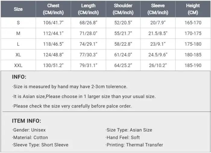 T-shirt ARISE Solo Leveling
