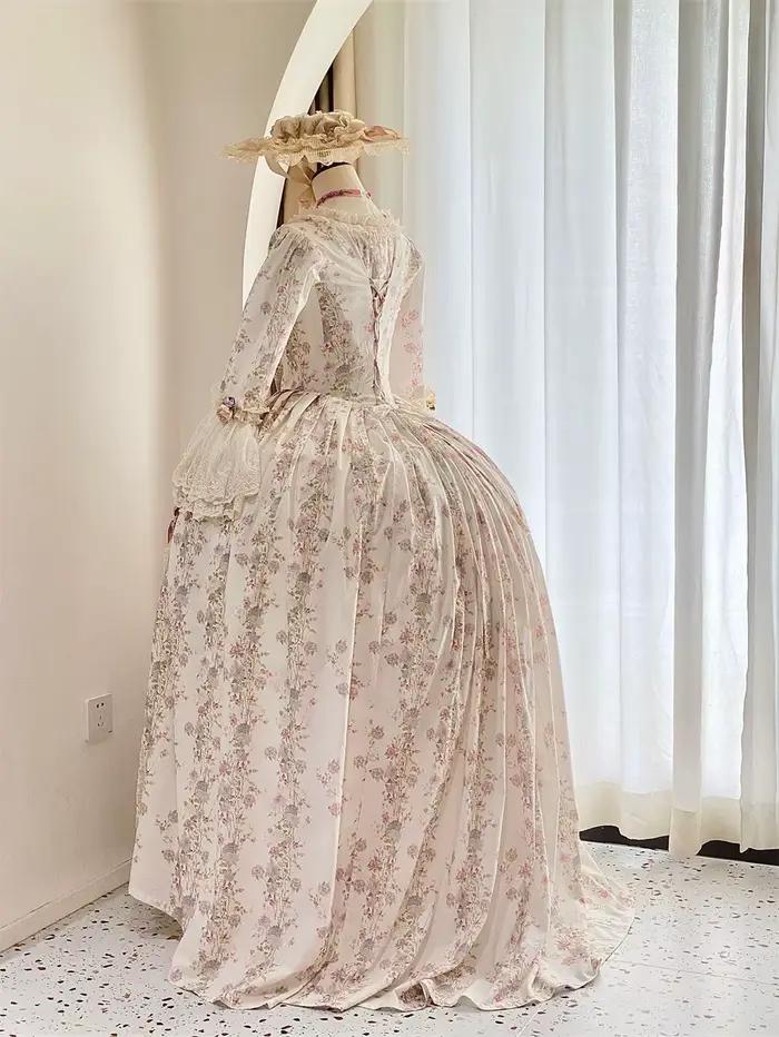 Robe A La Francaise
