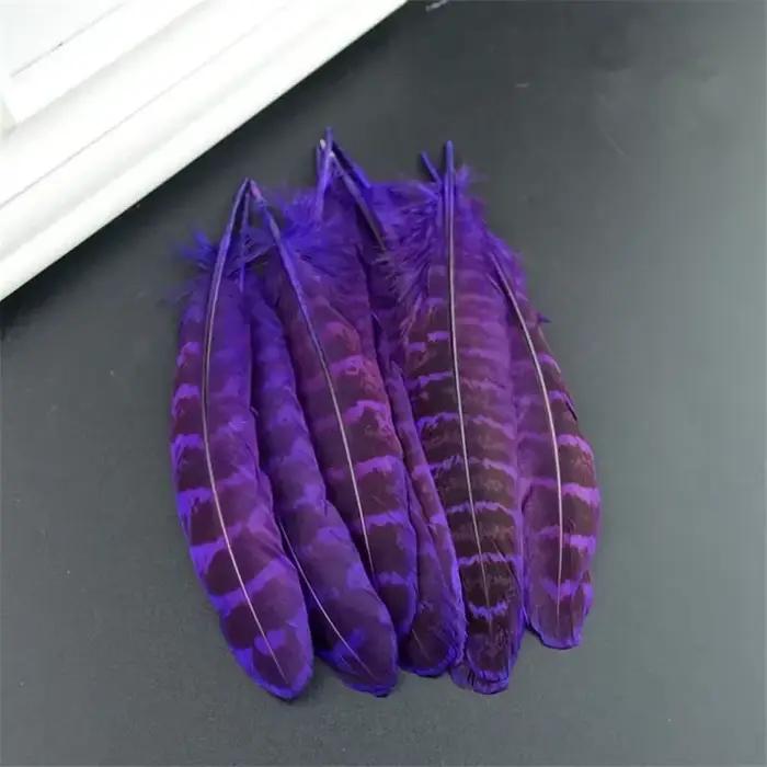 Plumes Naturelles de Faisan Jetables pour Cardouzaine, Accessoires pour Vêtements Artisanaux, Décoration de Carnaval, Vente en Gros