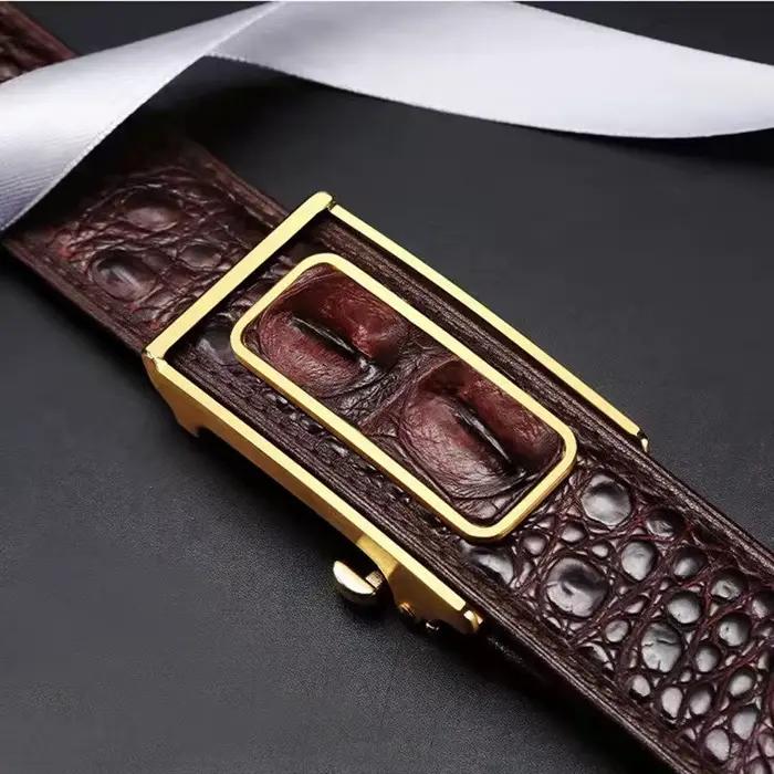 Ceintures Crocodile véritable pour hommes Alligator en cuir