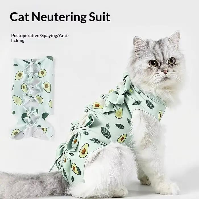 Vêtement de protection post-opératoire pour chat