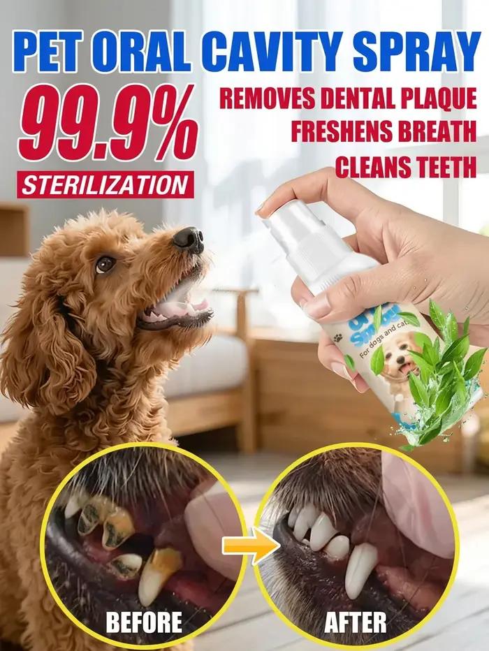 Spray buccal pour animaux de compagnie de qualité vétérinaire, contrôle de la mauvaise haleine et du tartre à force accrue, nettoyant dentaire doux sans brosse, approuvé par les propriétaires d'animau