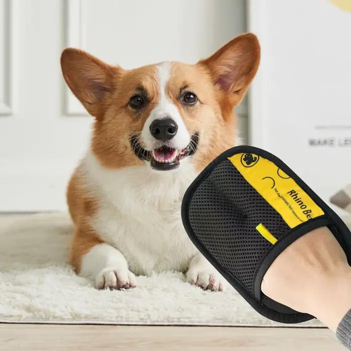 Gants pour chat pour l'élimination des poils d'animaux