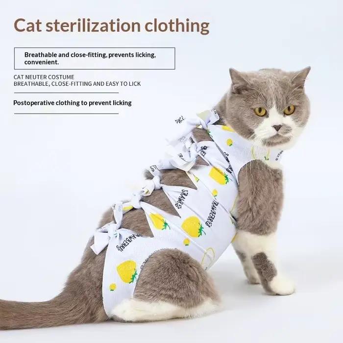 Vêtement de protection post-opératoire pour chat