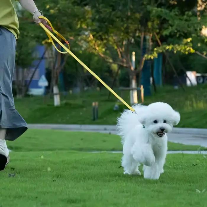 Laisse légère pour chien, entraînement pour chien, Traction pour animaux de compagnie, poignée rembourrée en Nylon souple, marche, course à pied, Jogging pour chiot, petit et grand chien