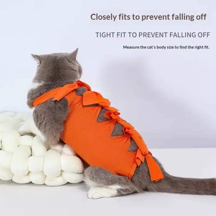 Vêtement de protection post-opératoire pour chat