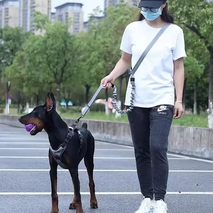 Laisse de chien mains libres pour animaux de compagnie marche course Jogging laisse de chien réglable ceinture de taille sangle de poitrine corde de Traction accessoires pour chiens