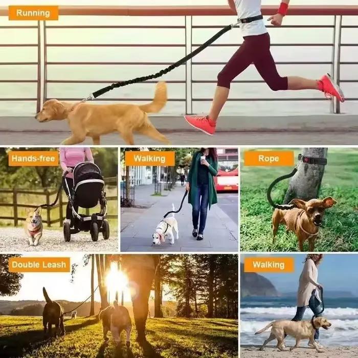 Laisse de chien mains libres pour animaux de compagnie marche course Jogging laisse de chien réglable ceinture de taille sangle de poitrine corde de Traction accessoires pour chiens